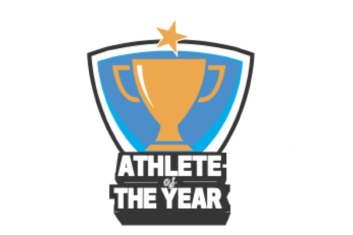 Cade McNeil, Livi Warren named 2024 Lexington County Athletes of the